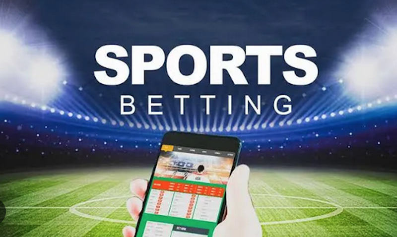 Dafa Bet Exploring the World of Online Betting
