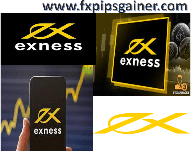 Understanding the Exness Server Down Issues Causes and Solutions
