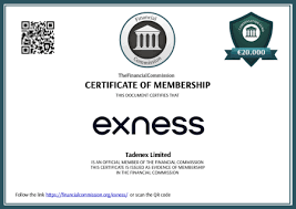 Understanding the Exness Server Down Issues Causes and Solutions
