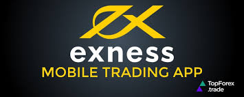 Understanding the Services of Exness Group on site exness.com exness group